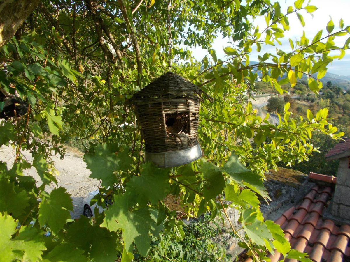 Casa De Sao Joao Das Castanheiras Resende Ngoại thất bức ảnh